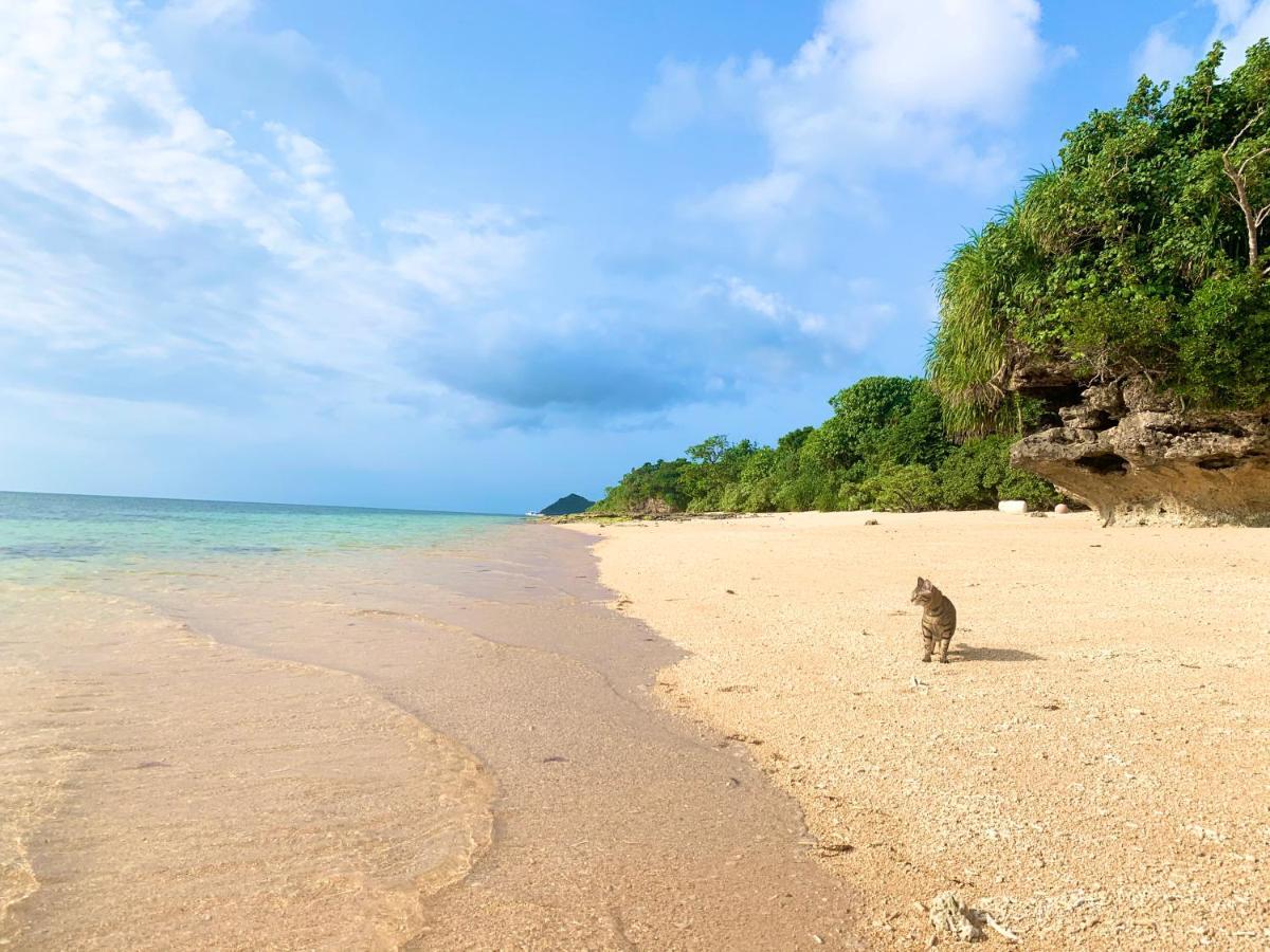 Villa Itona Ishigaki  Экстерьер фото